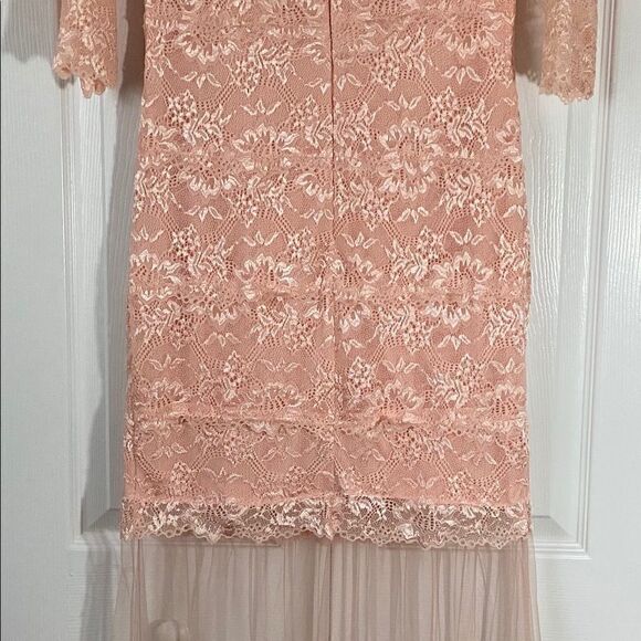 Peach Scalloped Lace & Tulle Full Length Gown - Picture 6 of 8